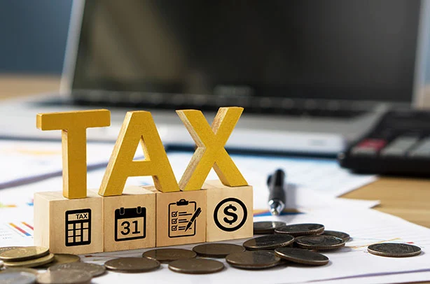 Professional Tax Consultation Services